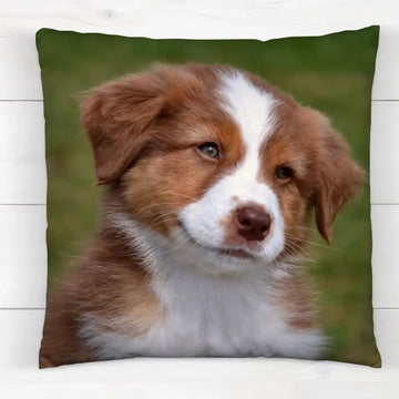 Individuelle Haustier  - Individuelles Kissen