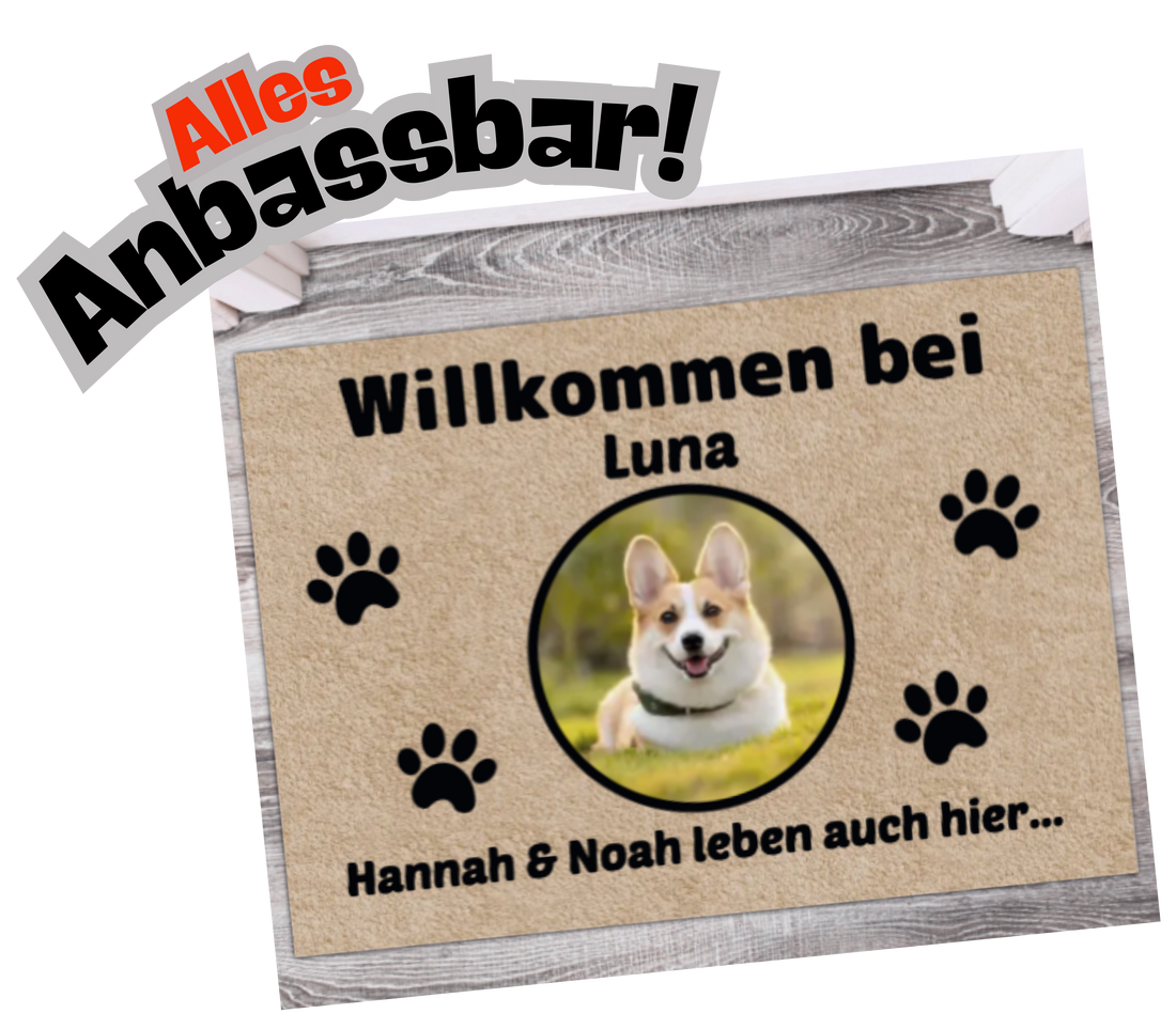 slider image 1621243260e1af0c20-1